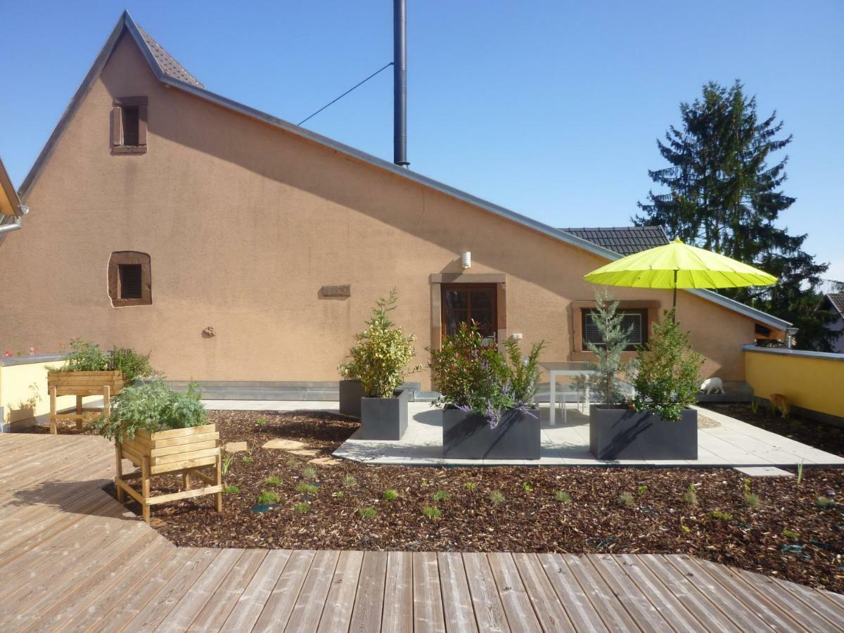 La Tete Au Soleil Apartment Soultzmatt Exterior photo